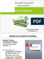 CLASE_N_14_Derecho_Ambiental1.pptx