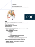 Sistemas Sensoriales Somáticos