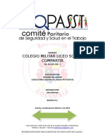 Copasst v2 2019..comite Paritario