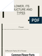 Flower, Its Structure and Types