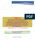 tema_11 (1).pdf