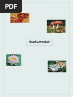 Clasificación de Los Seres Vivos