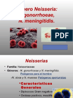 Microbiologia Med. Semana  5 Neiseria.pptx