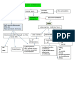 Flujograma Disfunción Vent-Resp