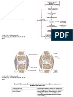 Artritis Reumatoide