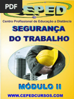 Apostila Módulo II