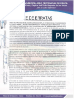 fe-de-erratas (1).pdf
