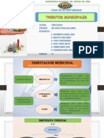 Tributos Municipales