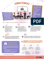 INFOGRAFIA DIRECTOR (1).pdf