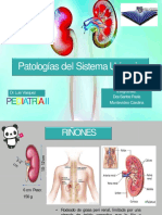 Desnutricion Cronica Infantil