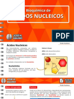 Acidos Nucleicos