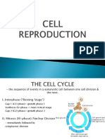 Cell Reproduction PDF