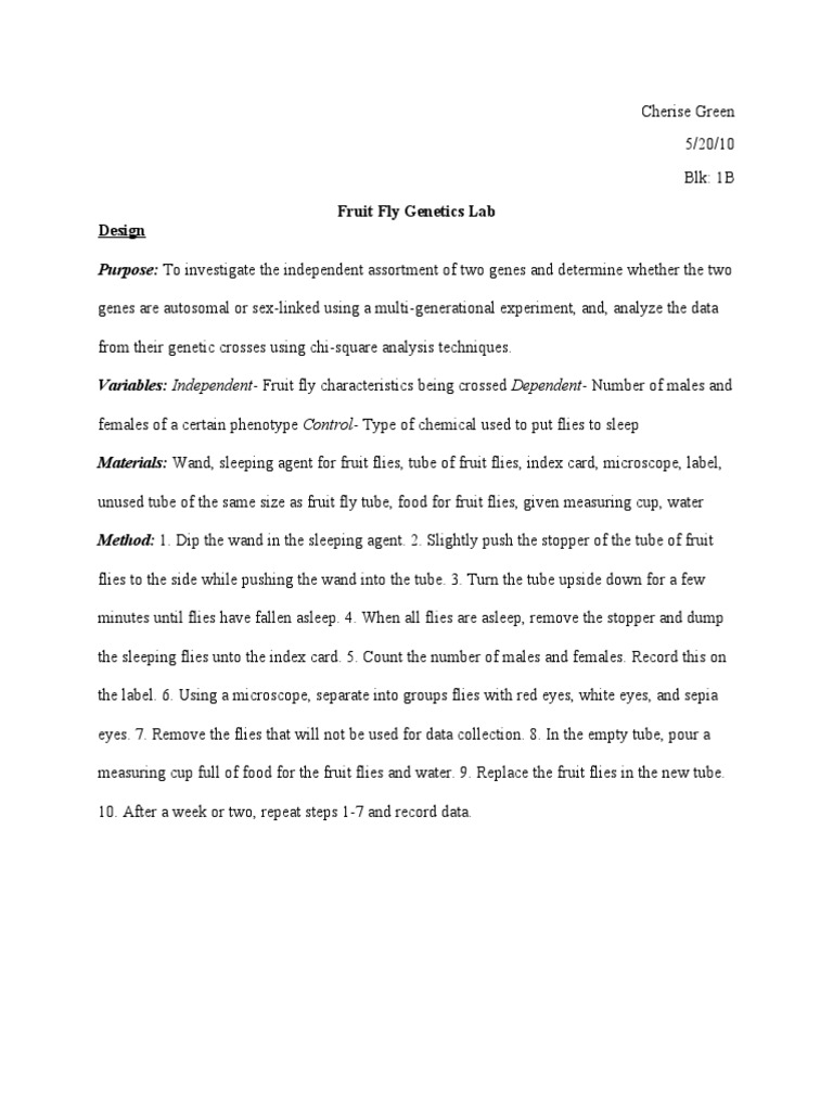 Fruit Fly Lab Design PDF Dominance Genotype