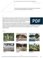 Especial_ Paraísos naturales y destinos para visitar en Colombia .pdf