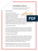 FUNCIONES DE LA CÉLULA.docx