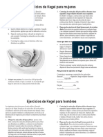Kegel_Exercises.pdf