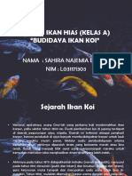 Kultur Ikan Hias Sahira (Ikan Koi)