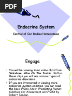 10 Biology 1 - 16 - 07 Endocrine System Feedback Systems