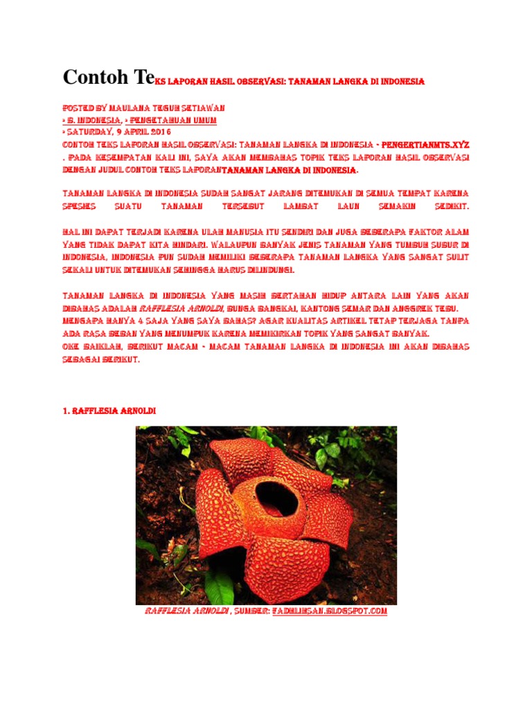 Contoh Teks Laporan Hasil Observasi Tanaman Langka Di Indonesia