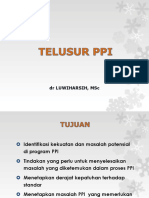 Telusur Ppi Contoh