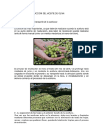 Proceso producción aceite oliva extracción