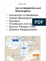 Bioenergetics, ETC, Oxid Phospho for CG