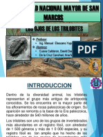 Informe Ojos de Los Trilobites