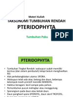 Pterydophyta 