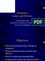 Pregnancylaboranddelivery Delivery