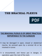 The Brachial Plexus2