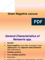 Gram Neg Cocci Pathogens: Neisseria spp. Characteristics & Diseases
