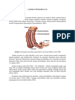 Laporan Pendahuluan Post Colestomy