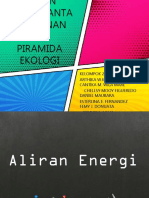 Aliran Energi, Jaring-Jaring Makanan & Piramida Ekologi