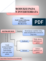 Sistem Reproduksi Invertebrata