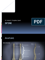 Spine pdf.pdf