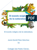 El Mundo Mágico de La naturalezaFINAL PDF