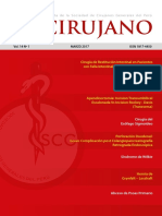 2017 Revista Cirujano PDF