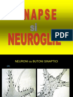 A04 Sinapse Si Nevroglie
