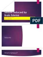 Brain Edema and Seizures: Understanding the Link Between These Conditions