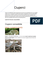 Ciuperci.docx