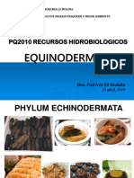 5- RRHH Equinodermos 2019-1.pdf