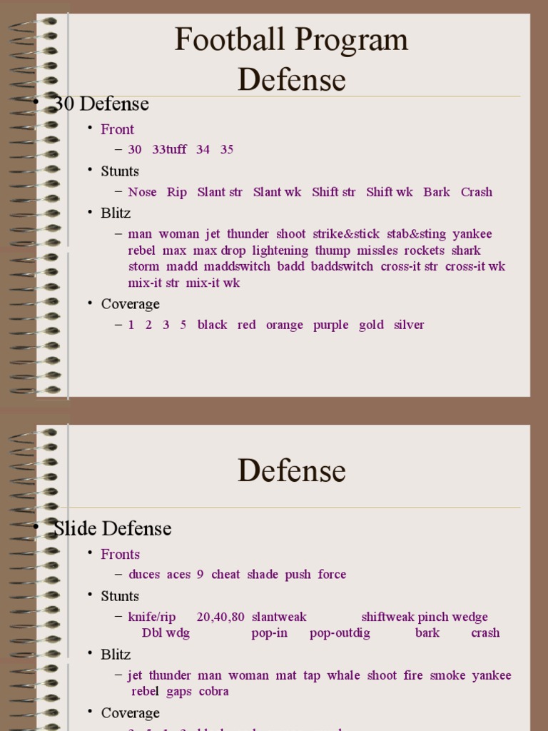 Comprehensive Football Playbook Guide | PDF | Team Sports | Ball Games
