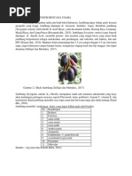 Contoh laporan singkat