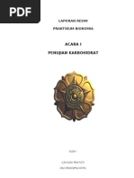 Download pengujian karbohidrat by Ferri Setiawan SN40918030 doc pdf