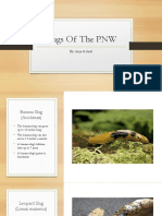 Slugs of The PNW
