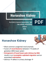 Horseshoe Kidney: Prof DR DR Haerani Rasyid, Mes, SPPD, KGH, SPGK Tim Ginjal Hipertensi Unhas 2018