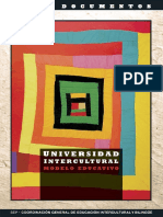 Universidad Intercultural.pdf