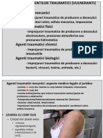 Curs 5 drept_2019(1).pdf