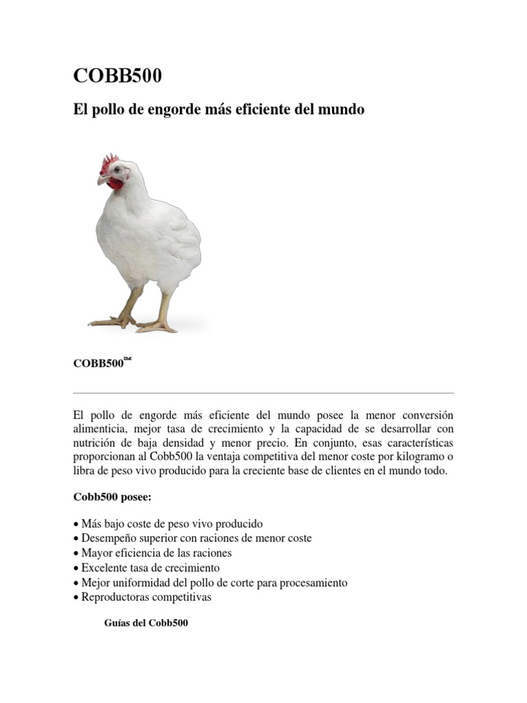 Características del Pollo Cobb 500 | PDF | Pollo | Carne