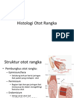 Histologi Otot Rangka HM